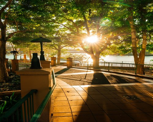 A serene morning view of an urban park path with green trees and soft sunlight reflecting the concept of daily mobility